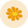 variant