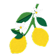 variant