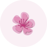 variant