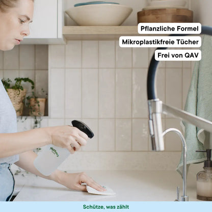 Allzweckreiniger Starterset