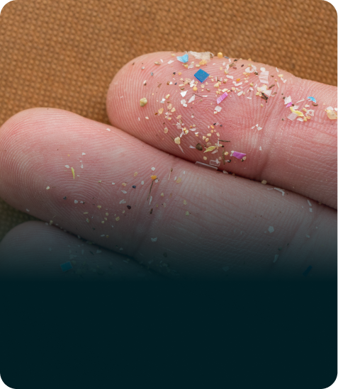 Mikroplastik verursacht ernsthafte                      <strong>Gesundheits-probleme</strong>.